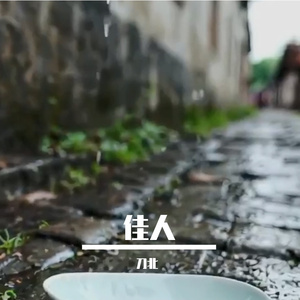 雨雾地铁中的错念