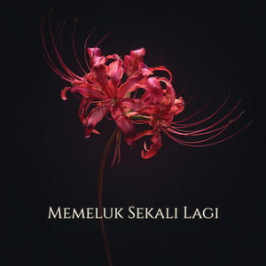 Memeluk Sekali Lagi