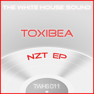 NZT (Original Mix)