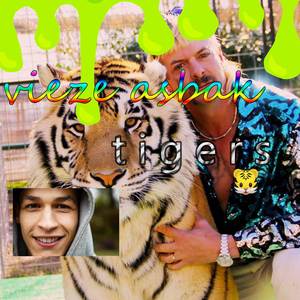 Tigers