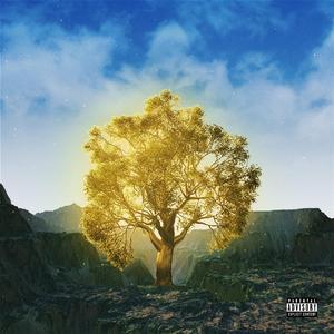 GOLD (feat. Rich Jones & Lo K)