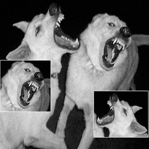 DECKED (Slowed Version)