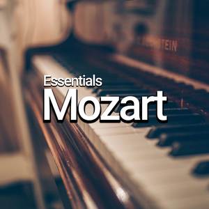 Sonata No. 16 C major (Sonata facile) , KV 545, 2nd Movement