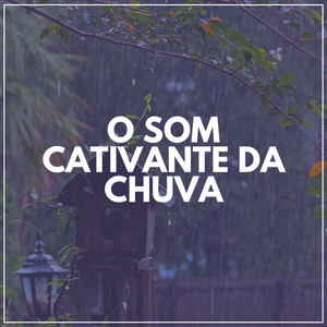 30 Beautiful Nature Sounds, Pt. 9