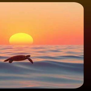 El mar que me regalaste