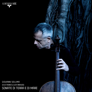 Variationes super Ave Maris Stella