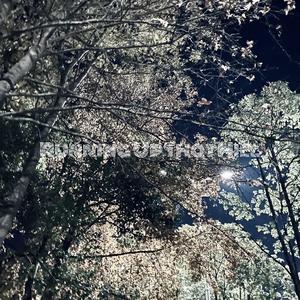 Running Up That Hill（Fakelove7 remix）