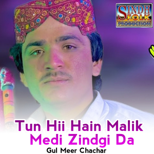 Tun Hii Hain Malik Medi Zindgi Da
