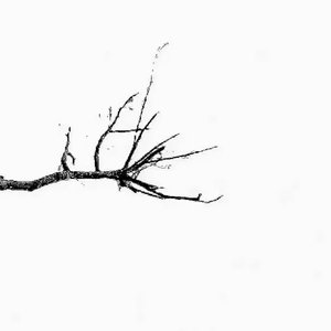 差一点抓到月亮