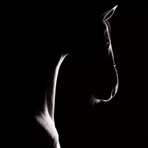 生活转弯后是幸福