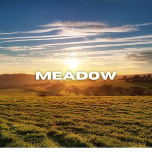 MEADOW