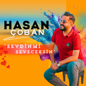 Sevdin Mi Seveceksin