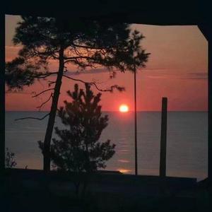 心如止水(女声版)