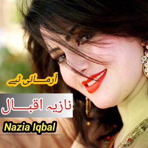 Na khabar Da La Khpal Zana_Tapay