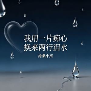我用一片痴心 换来两行泪水