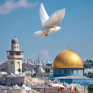 Young and Strong Israel