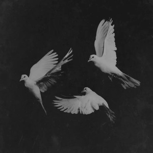 Sav Meni Yetar(男版）