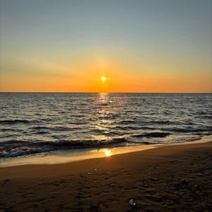 futile devices (instrumental best part)