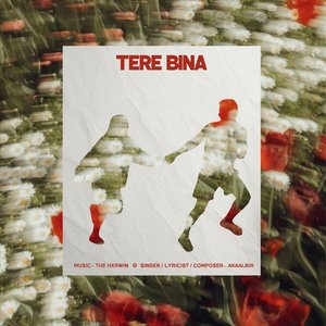 Tere Bina