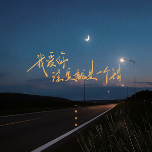 我爱你注定就是一个错