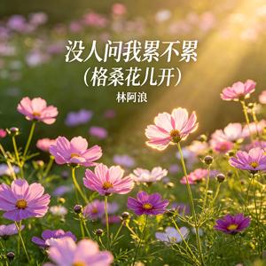 没人问我累不累（格桑花儿开）