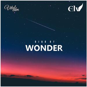 Bird Of Wonder