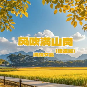 风吹满山岗 (0.9X)