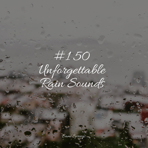 Forest, Night, Frogs