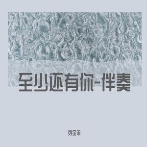 林忆莲-至少还有你伴奏（刘金禾 remix）