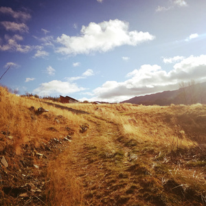 Ukedagene & Månedene sang