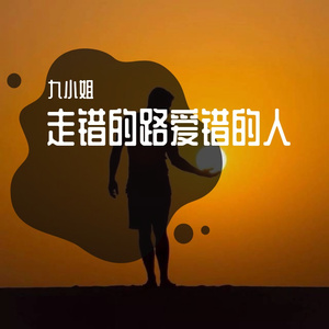 走错的路爱错的人