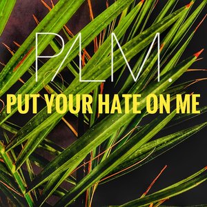Put Your Hate on Me