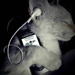 eed - Wake Me Up（ShinyB remix）