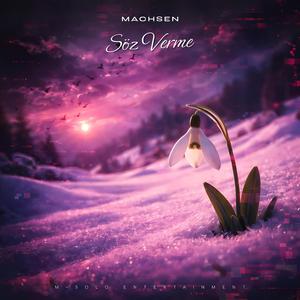 SÖZ VERME (feat. MELYDRAM) (Special Version)