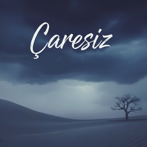 Çaresiz