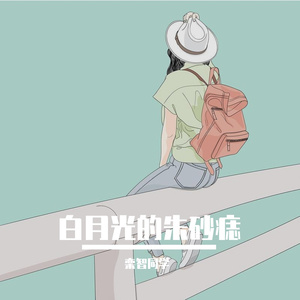 白月光的朱砂痣