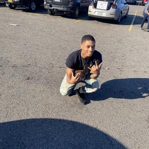 Skeam
