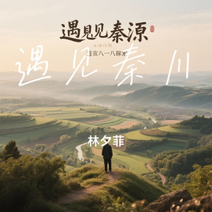 遇见秦川