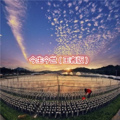 你是我曾经拼命爱过的人 (王者版)