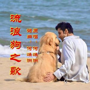 流浪狗之歌（何焕洲原唱） 伴奏