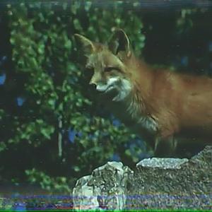 Lots of love, from Tabby