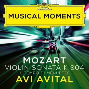 Violin Sonata No. 21 in E Minor, K. 304:II. Tempo di Menuetto (Transcr. Avital for Mandolin and Piano)