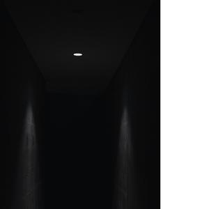 Dark & Dingy