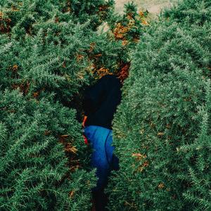 If You Could See Yourself