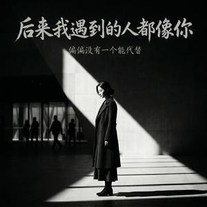 后来我遇到的人都像你