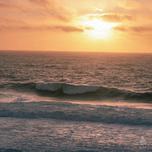 낭만 그리고 사랑