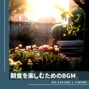 Urban Daybreak Stories