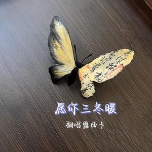愿你三冬暖（翻唱露西卡）