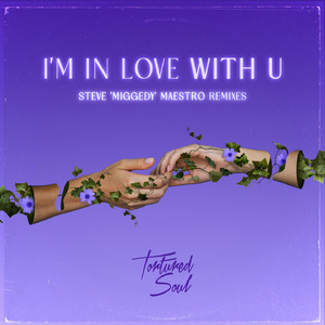 I'm In Love With U (MS III Mental Dizko Slap)