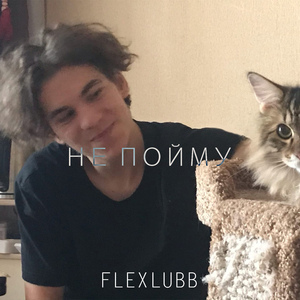 Не пойму